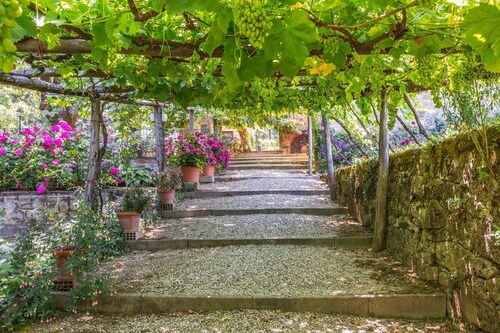 Palazzo Rosadi - Luxury Villa Rental with private swimming pool in Monterchi, Tuscany