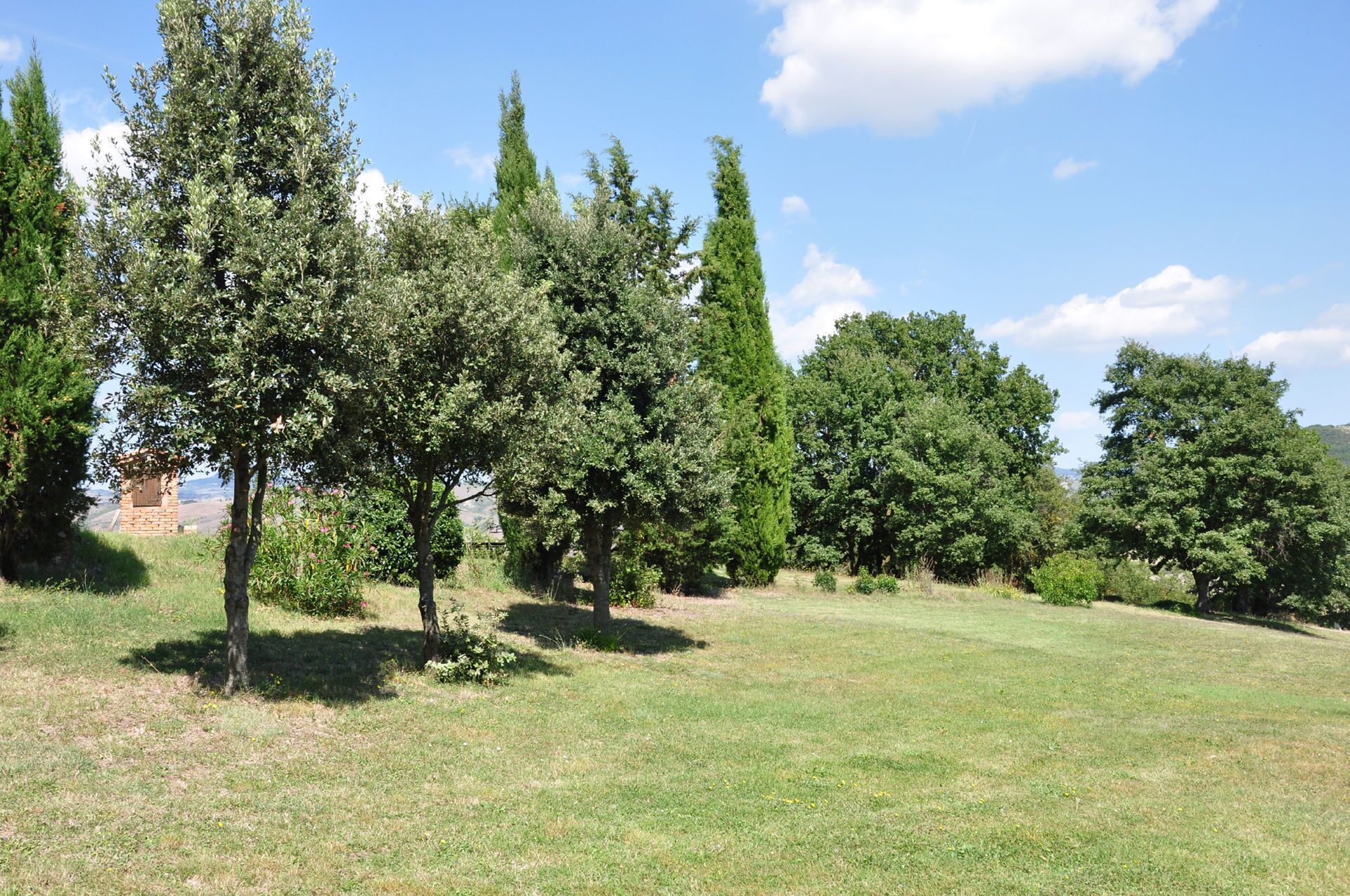 A grassy area with several trees and a small brick structure.
