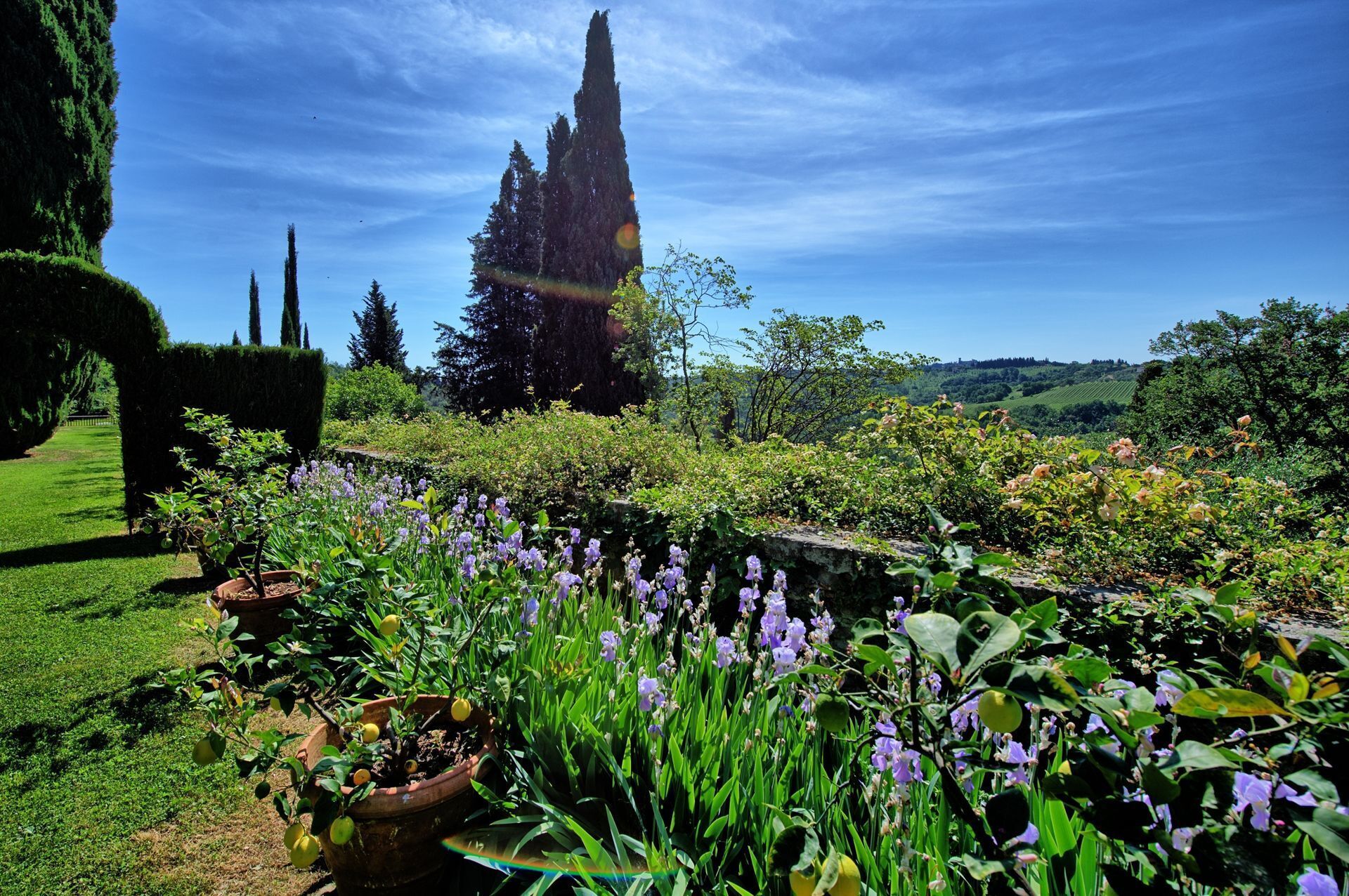 A garden with a variety of plants and flowers, a stone wall, and a tall tree in the background.