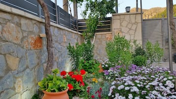 Jardin