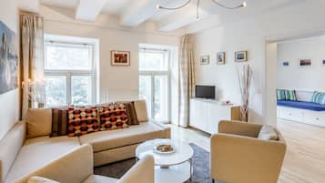 TV, video library, stereo