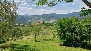 Un paysage verdoyant et luxuriant, avec une vue sur des montagnes lointaines et un petit village.