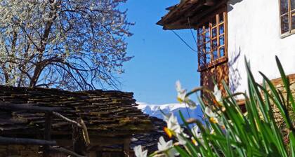 Wonderful private villa for 5 people with WIFI, pets allowed and panoramic view