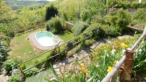 A garden with a swimming pool, surrounded by lush greenery and flowering plants. - Wonderful private villa with A/C, WIFI, private pool, TV, veranda, pets allowed and panoramic view (Aiale)