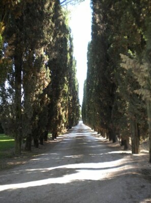 Áreas de la propiedad