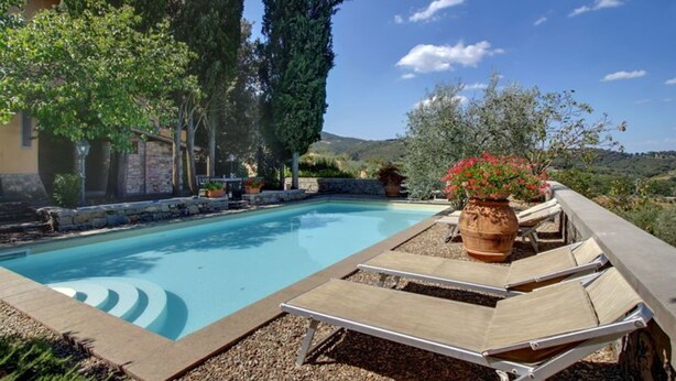 A swimming pool with lounge chairs and a potted plant.