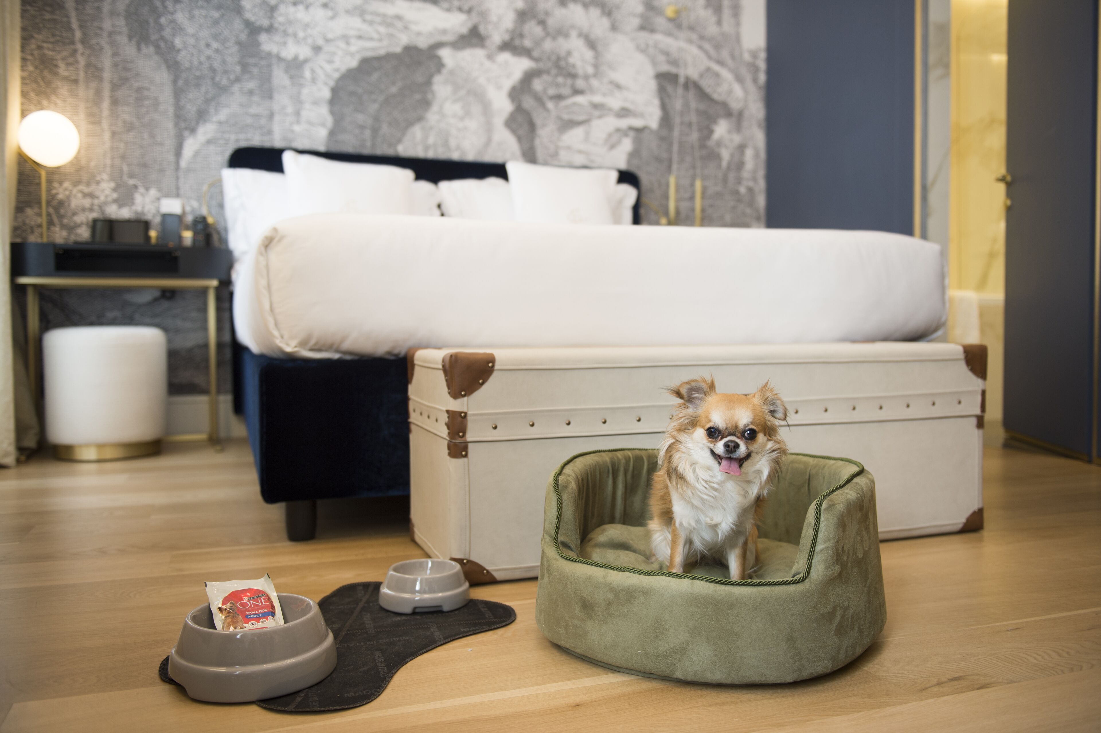 A pet-friendly room with a bed, a pet bed, a feeding bowl, and a water bowl.