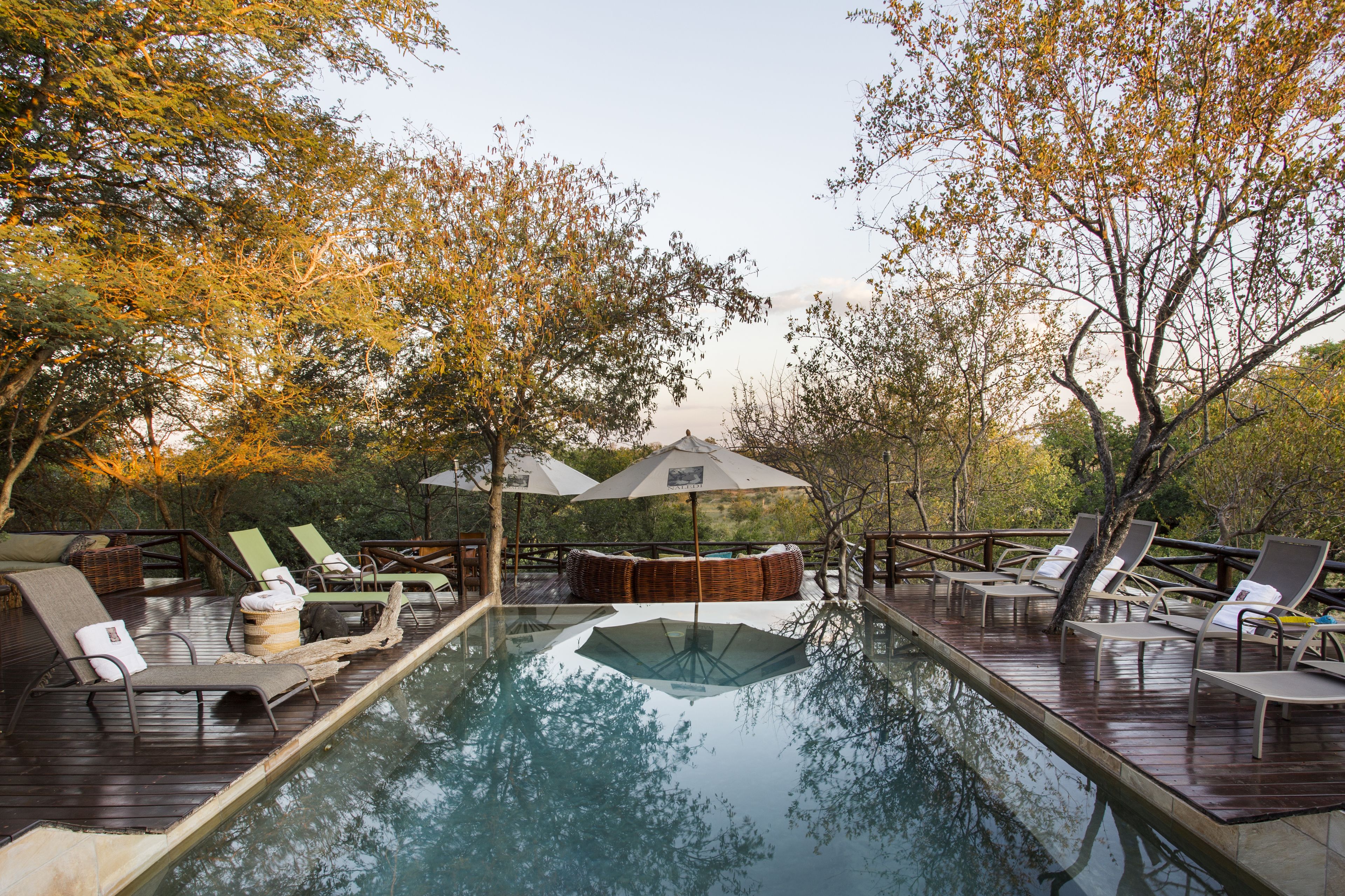 Outdoor pool, sun loungers