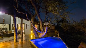 A pool area with a blue-lit water feature, wooden deck, and a tree with illuminated branches.