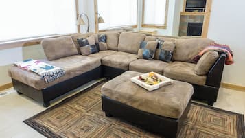 TV, fireplace, video games, DVD player