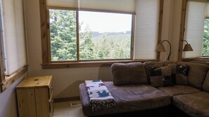 TV, fireplace, video games, DVD player