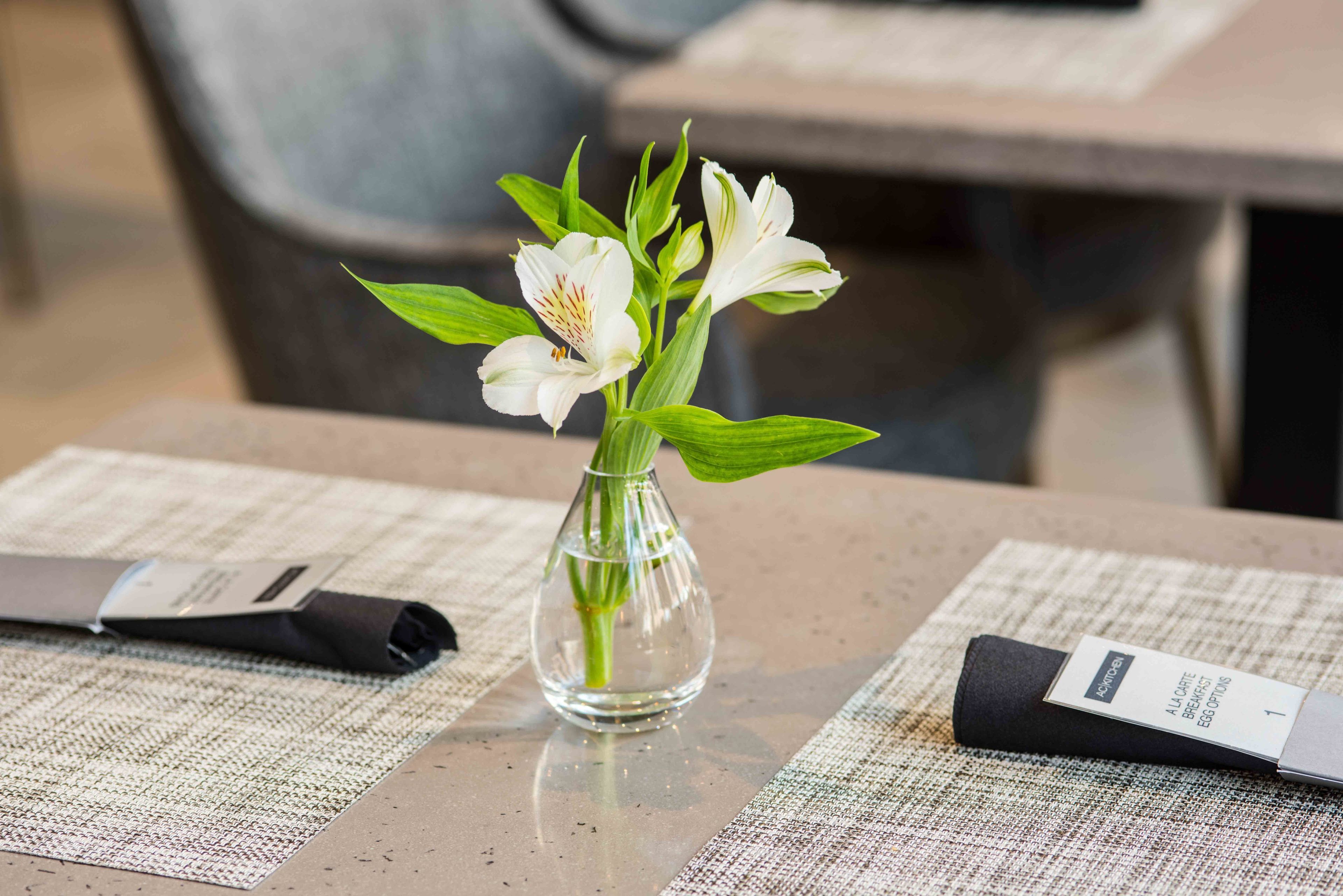 daily buffet breakfast for a fee