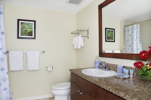 Combined shower/bathtub, hair dryer, towels
