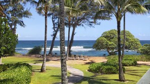 A beachfront property with a pathway leading to a seating area with chairs, surrounded by palm trees and a view of the ocean.