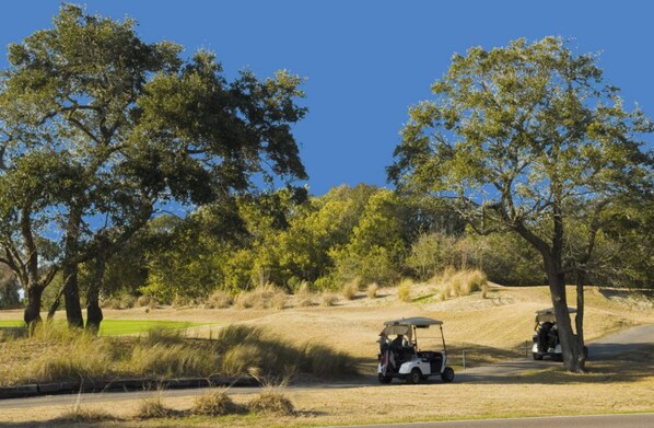 Spend the day golfing at Wild Dunes.