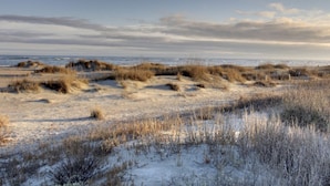 En strand med klitter og sparsom vegetation.