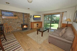 Télévision, cheminée, lecteur de DVD