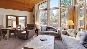 TV, fireplace, DVD player, ping pong