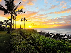 A coastal landscape with palm trees, a rocky shoreline, and a sunset.