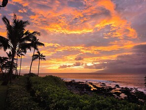 A sunset over a beach with palm trees and rocky shoreline.