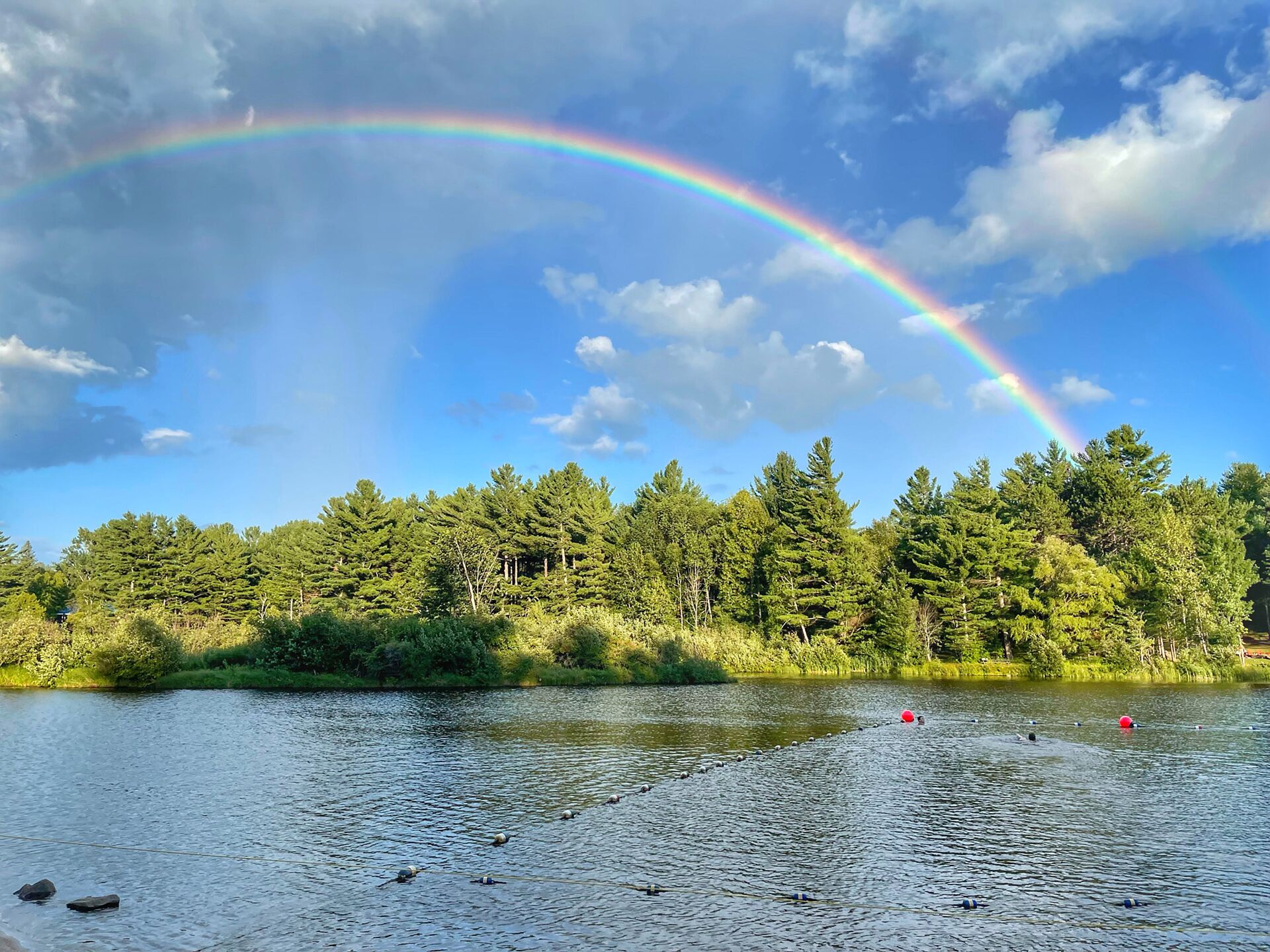 Un lago con un arcoíris, rodeado de un bosque denso.
