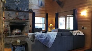 Smart TV, fireplace, DVD player, video library