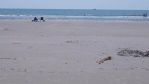 Nær stranden