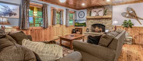 TV, fireplace, DVD player