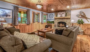 TV, caminetto, lettore DVD