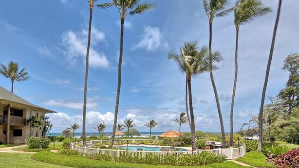 A resort with a pool, palm trees, and a view of the ocean. - Peaceful Paradise! Spacious Condo, Full Kitchen, Wifi, Flat Screens-Kaha Lani 108 (LIHUE)
