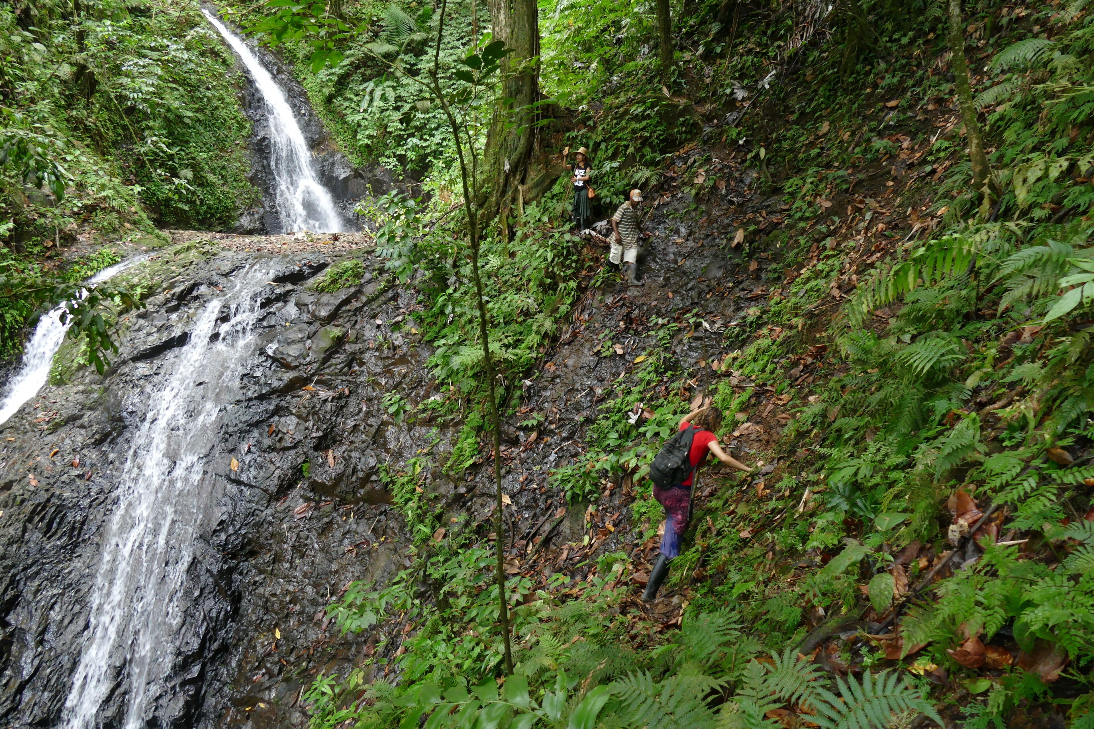 Rainforest Home to peel your stress away in Laborie, Saint Lucia