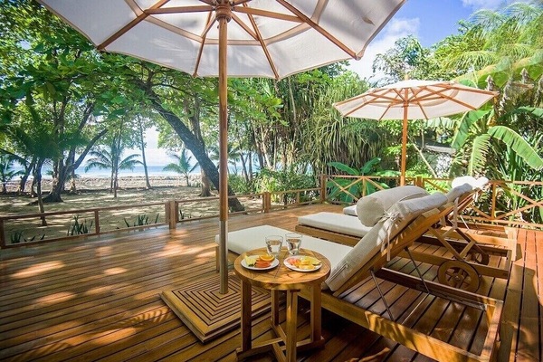 Relax on the deck and pool on the beach, surrounded by palm trees and wildlife.