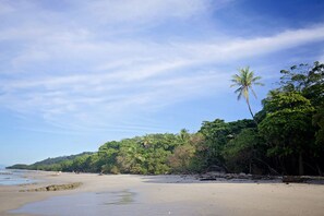 On the beach, sun loungers, beach towels