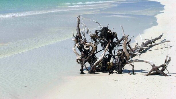 Una playa con aguas turquesas cristalinas y arena blanca.