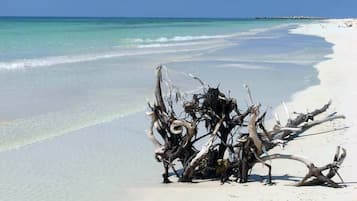 Plage à proximité, serviettes de plage