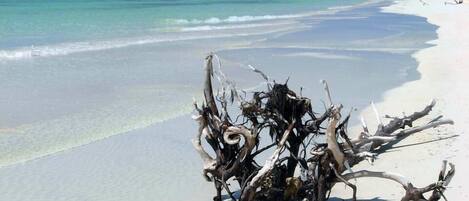 Plage à proximité, serviettes de plage