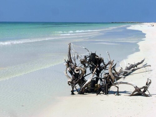Belle front de mer appartement 1 lit très proche des commerces et de toutes commodités plages