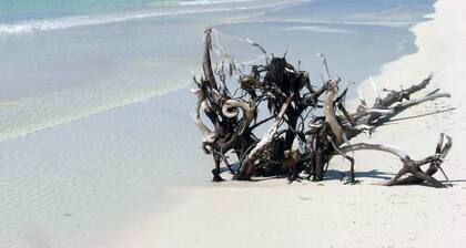 Belle front de mer appartement 1 lit trÚs proche des commerces et de toutes commodités plages