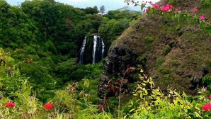 Un paysage verdoyant et luxuriant, avec une cascade et une végétation dense.