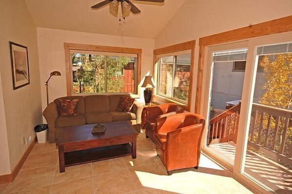 TV, fireplace, DVD player