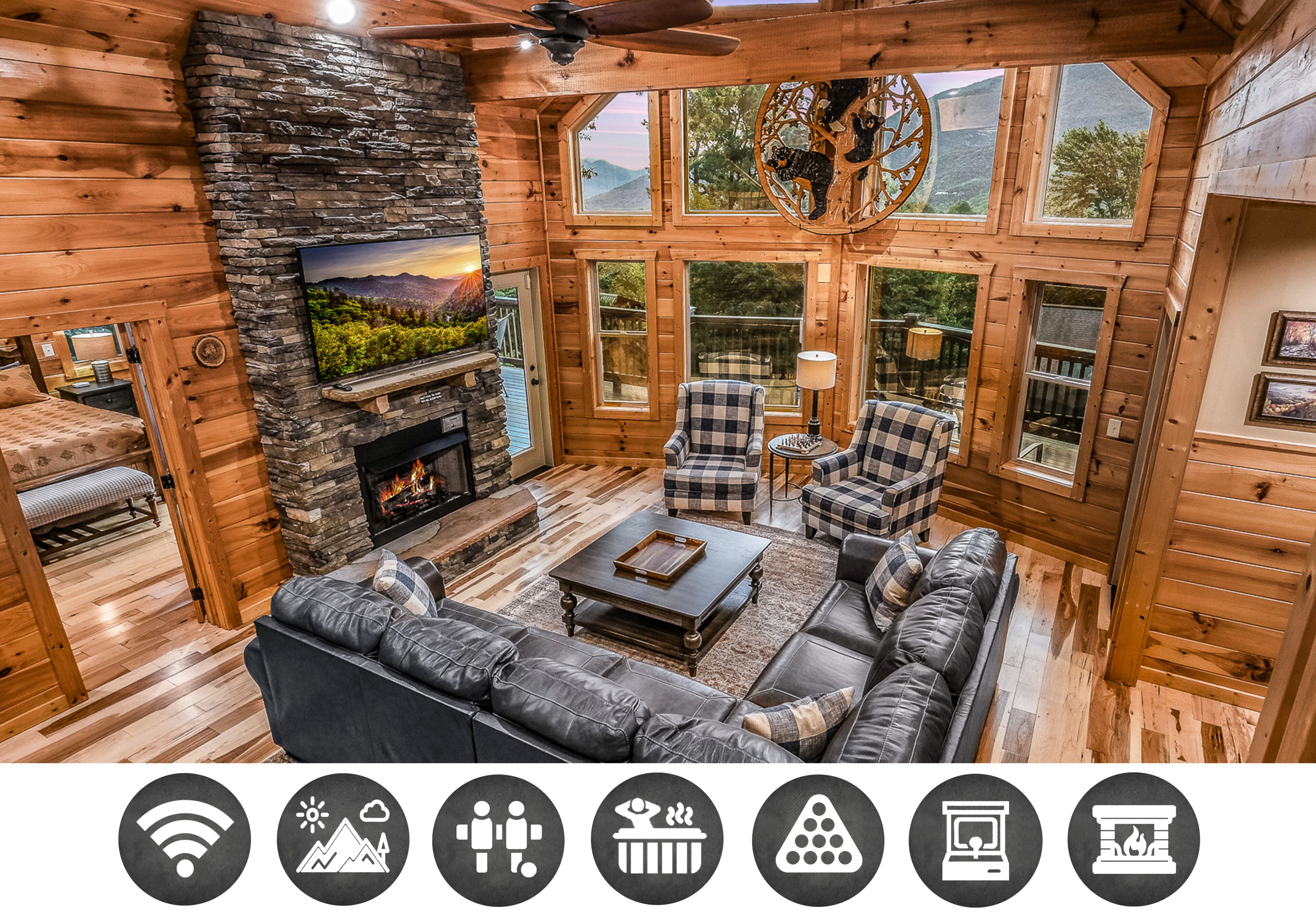 Télévision, cheminée, jeux vidéo, lecteur de DVD