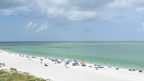 On the beach, sun loungers - Sea Winds 603: Totally Renovated Condo; Beach Front (Marco Island)