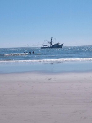 Beach nearby, sun-loungers - Short bike ride to Shipyard Beach Club and on-site (Hilton Head Island)