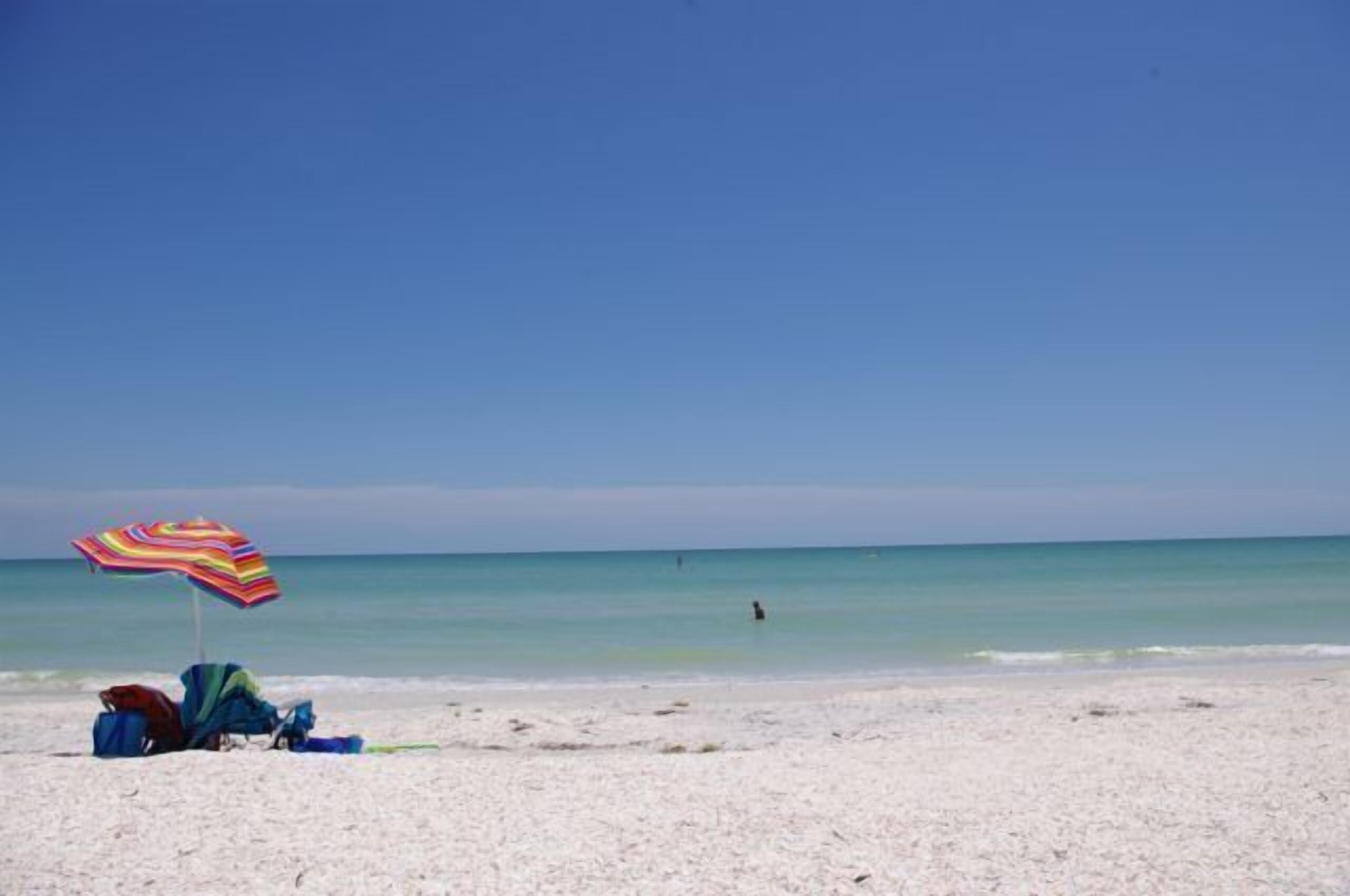 Top 10 PetFriendly On Sanibel Island, USA Updated