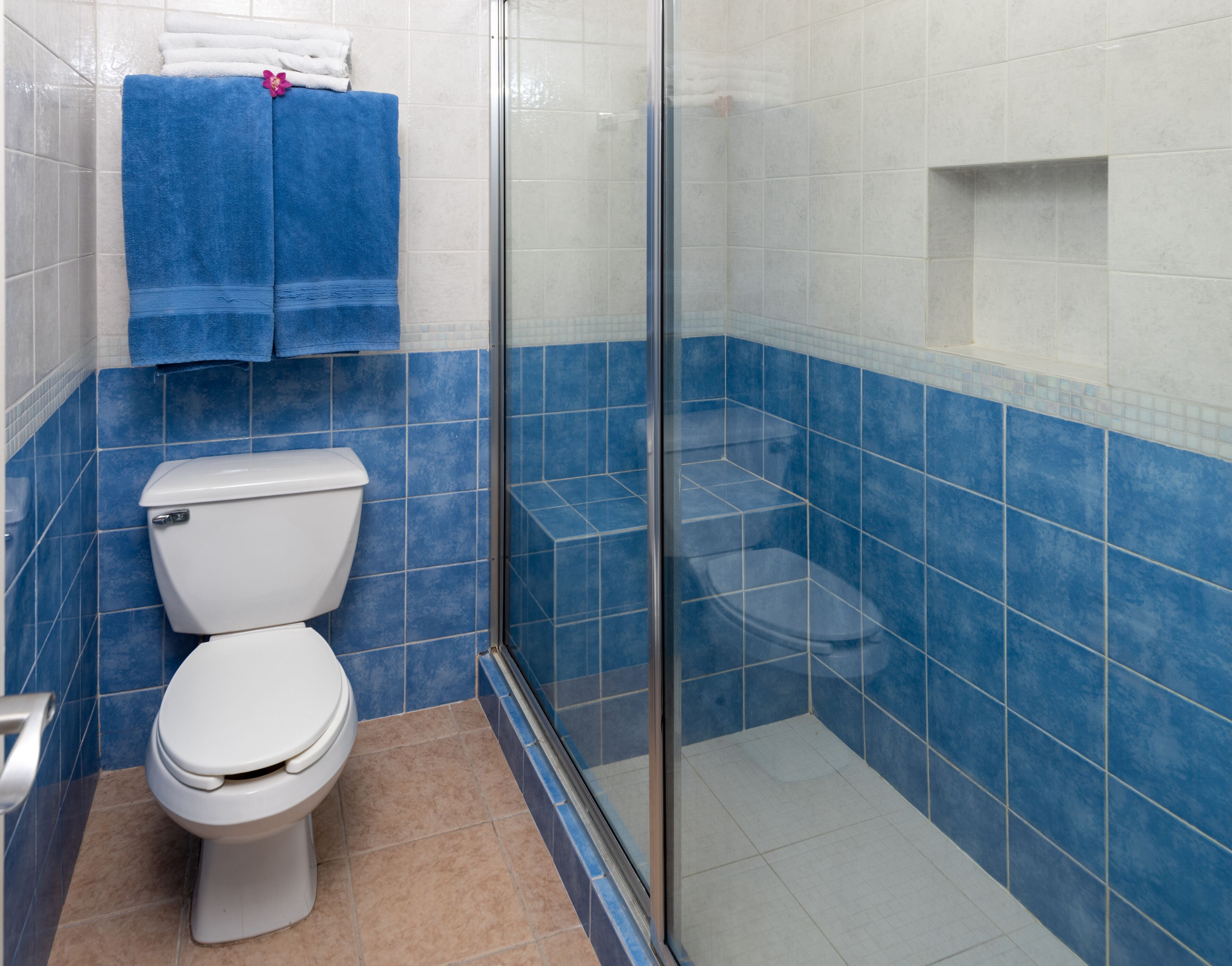 A bathroom with a toilet, a shower with a glass door, and blue and white tiled walls.
