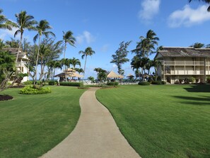 Property grounds - #324 - Direct Oceanfront Kauai Rental By Owner Ocean View FREE WiFi Parking A/C (Kapaa)
