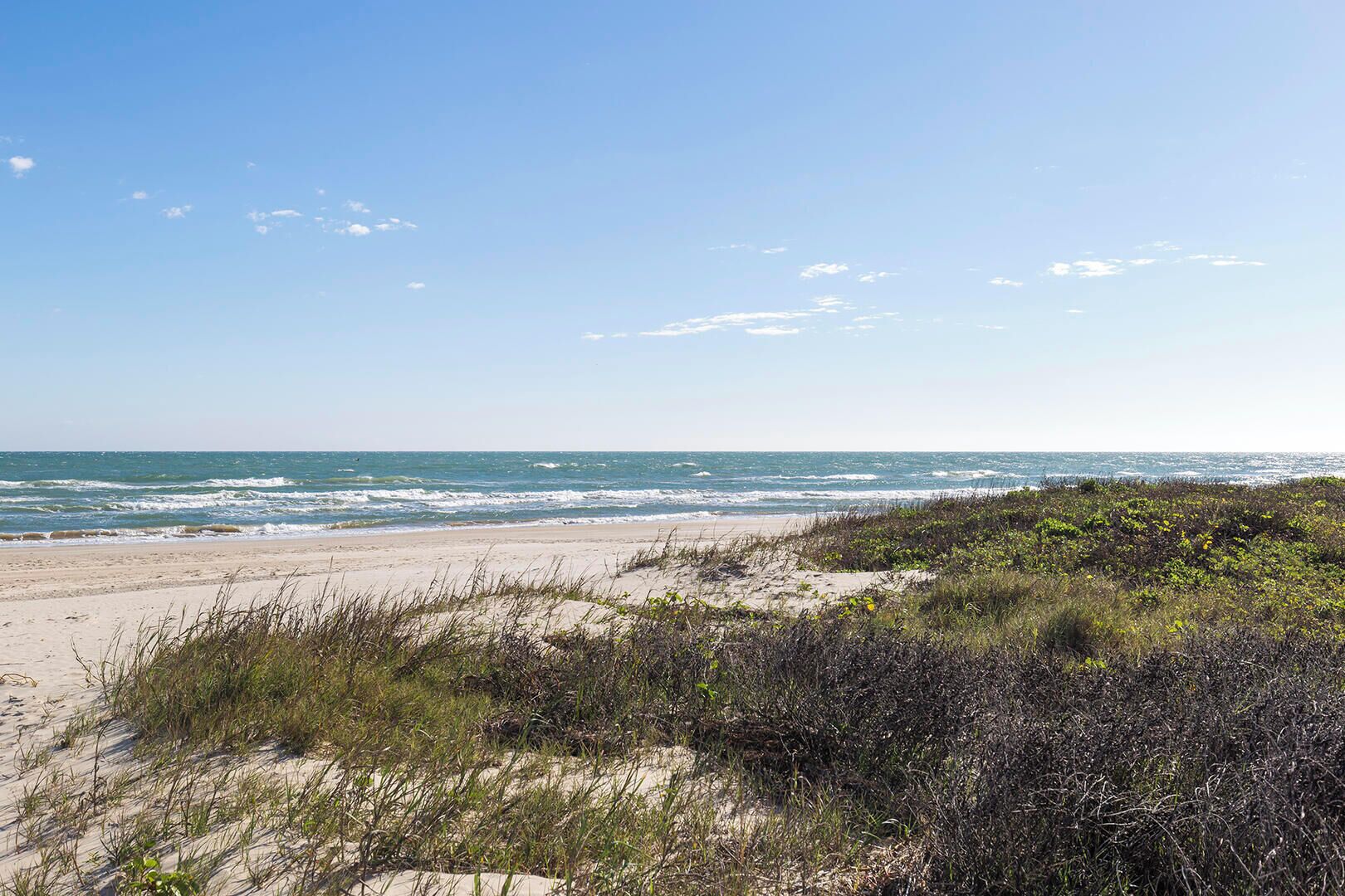Ein Strand mit Dünen und Vegetation.