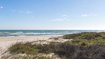 Ein Strand mit Dünen und Vegetation.