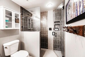 Shower, hair dryer