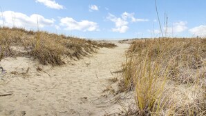 Un sendero arenoso que atraviesa un paisaje de dunas con poca vegetación.
